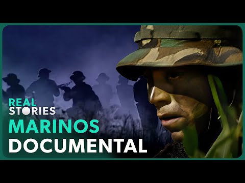 Élite de Guerra: ¿Cómo Rescatan y Capturan los Marinos lo Imposible? | Real Stories en Español