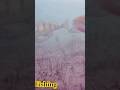 Video Thumbnail for When the Perch aren't bitting, #fishing #shorts #subscribe #like