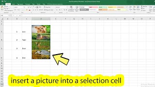 How to insert image in excel cell