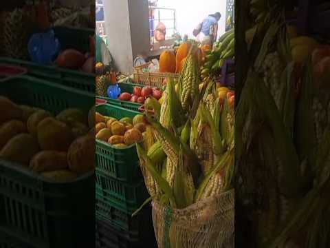 Plaza del Mercado de Carmen de Apicala, Tolima