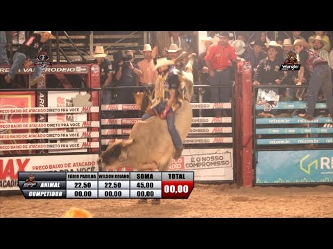 22º RIO PRETO COUNTRY BULLS 2018 - QUINTA FEIRA / MELHORES TOUROS