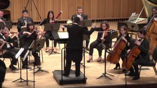 Puccini (orch. Di Vittorio), O Mio Babbino Caro, Chamber Orchestra of New York - S. Di Vittorio