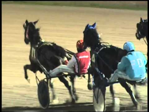 Trotto 13/11/2014 - 7° corsa