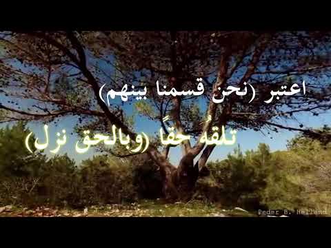 لامية ابن الوردي في الأخلاق والآداب