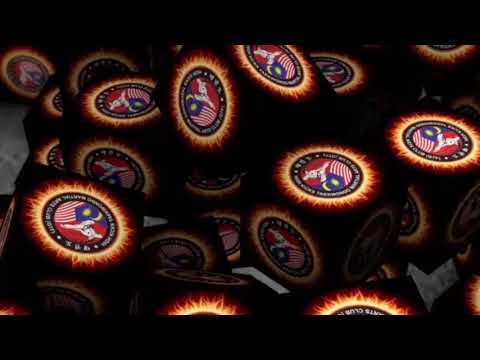 Team High Kicks Taekwondo Fight