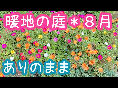 旧暦: 2022 年 8 月の月を使ってガーデニングをするには?  庭園