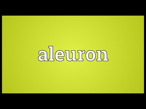 Aleuron Meaning