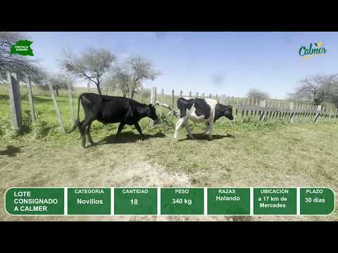 Video del lote L0-000871