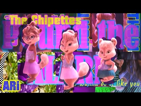 The Chipettes - Pound The Alarm