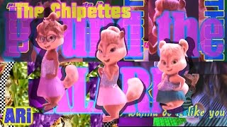 The Chipettes - Pound The Alarm