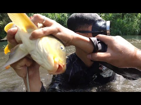 SE03EP025 Part 3 - HINDI pa TAPOS ang LABAN | BUMUKAL ng KARPA sa PARAGUSAN - San Pablo City, Laguna