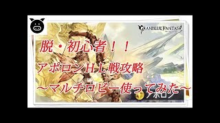 【グラブル】脱！初心者！6人HLに参加してみよう！