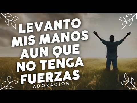 Alabanzas Que Traen Bendiciones A Tu Casa - Himnos Cristianos - Musica Cristiana y Coros Mix