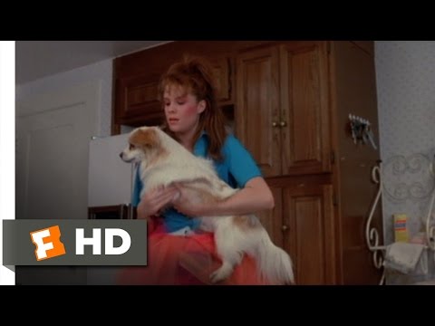 Teen Witch (6/12) Movie CLIP - Richie the Dog (1989) HD