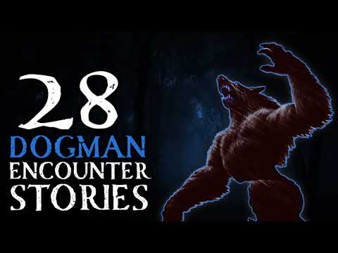 28 SCARY DOGMAN AND WEREWOLF ENCOUNTER STORIES - ROUGAROU, WEREWOLVES AND DOGMAN
