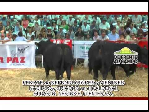 DE FRENTE AL CAMPO junto al REMATE de NÉSTOR H. FUENTES S.A.