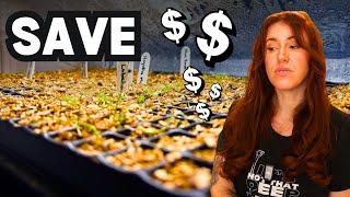10 Seed Starting Mistakes RUINING Your Germination