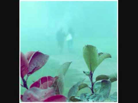 Video thumbnail for Smog in Cities