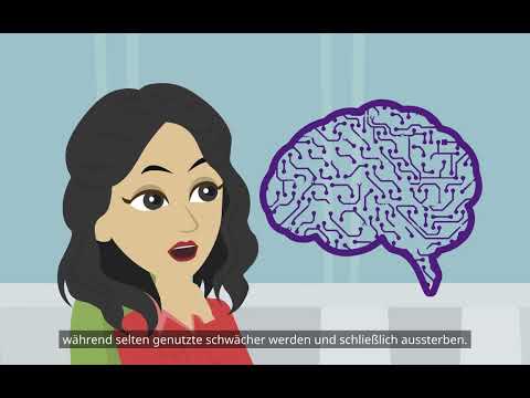 Plastizität des Gehirns (Grundlagen der Psychologie)