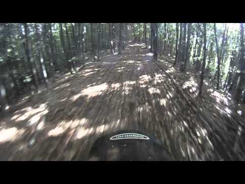 Padurea_spre_CampuCetatii2