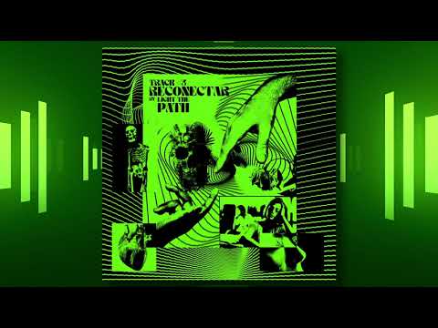 Light the Path - Reconectar (Audio)