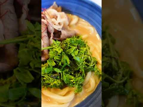 El udon Sanuki más caro de la auténtica prefectura de Kagawa