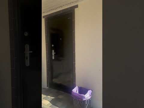 фото деревня заболотье, поречский сельсовет, гродненский район, гродненская область, 2 комн., 1250 м² 0