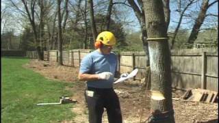 Tree Falling: Directional Steering with the Back Cut