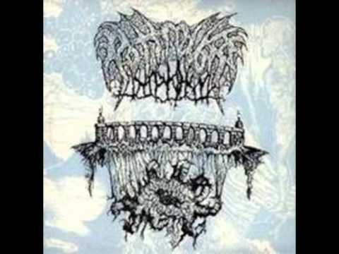 Rottrevore - Unbeknownst