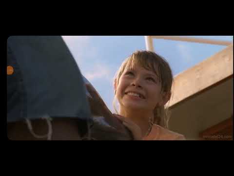 Free Willy escape from pirate's cove.