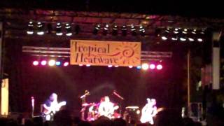 Alejandro Escovedo Tropical Heatwave 2010 Real Animal