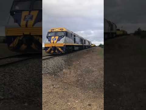 TRAINS AM22 SCT 6KA9 RailFirst's EL51 EL57 EL62, Tailem Bend, South Australia 27/05/2022
