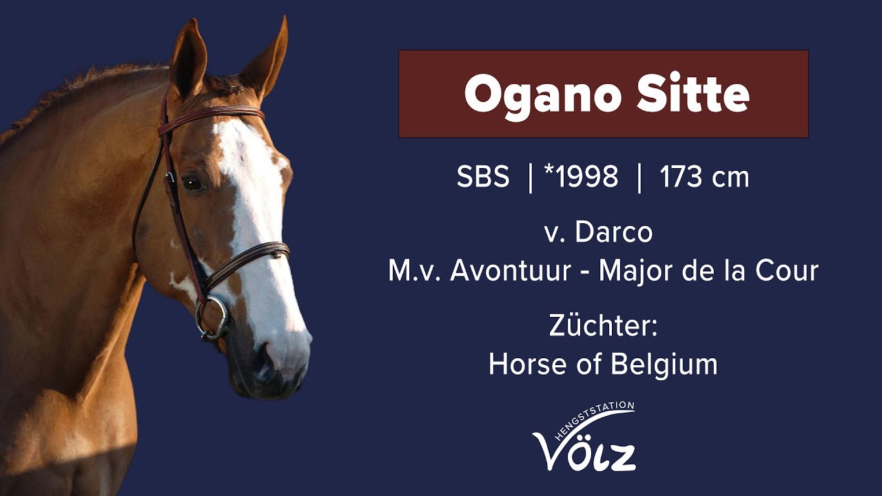 Ogano Sitte — headshot