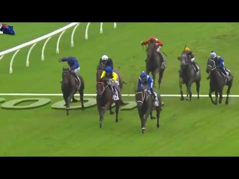 2017 China Horse Club George Ryder Stakes G1 - Winx (雲絲仙子) - H.Bowman