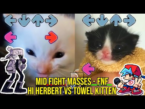 Ruv Zavodila BUT HERBERT VS TOWEL Cat - Friday Night Funkin Animation - Mid-Fight Masses