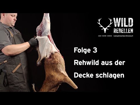 Tutorial Rehwild zerwirken (3/6): Aus der Decke schlagen | Wildrebellen des LJV BW