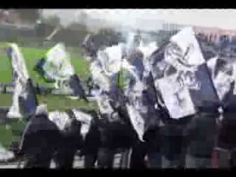 Brescia vs Cesena 2013/2014 - La partita vissuta sugli spalti