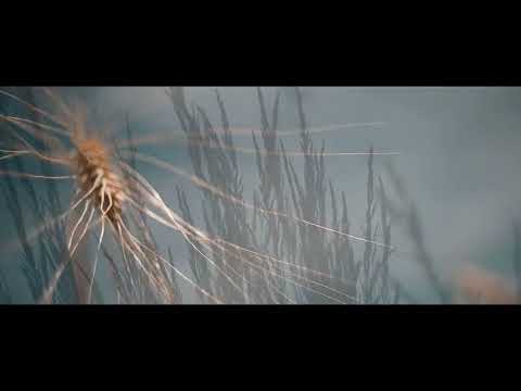 Alexander Metzger - Floyd 70ies Intro (Butcher Music) World of Intros Vol.1