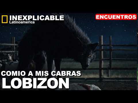 El lobizón de campo y un relato ATERRADOR || Argentina