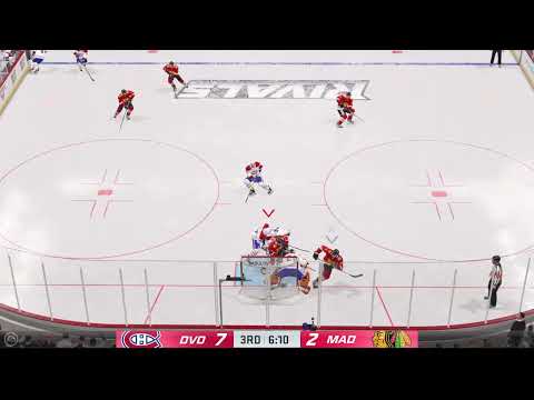 NHL22:Goalie Interference
