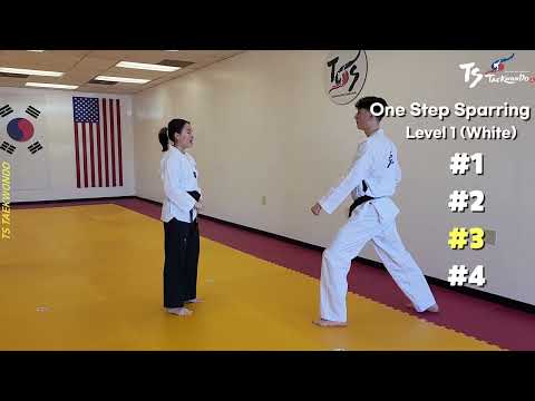 One Step Sparring Level.1 (#1-4)