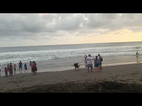 LA PLAYA DE PUERTO SAN JOSE ESCUINTLA GUATEMALA