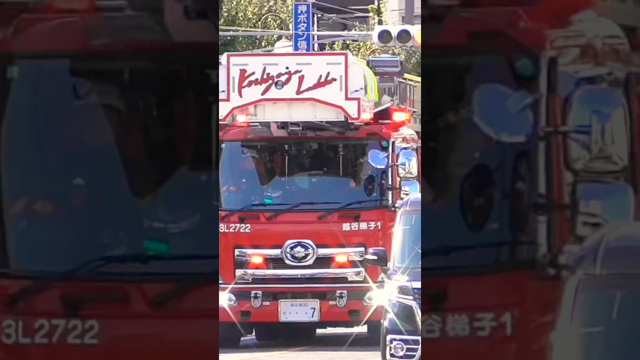 【梯子車緊急走行】越谷梯子1 緊急走行
