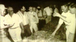 Broken Dreams and Memories   Michael Shane