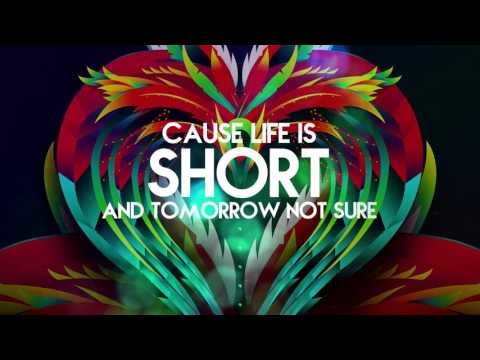 Voice - Cheers To Life (Lyric Video) "2016 Soca" (Precision Productions)