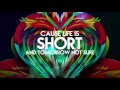 Voice Cheers To Life Lyric Video Precision Productions