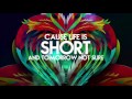 Voice - Cheers To Life (Lyric Video) "2016 Soca" (Precision Productions)