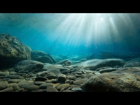 Geology 14 (The Ocean Floor)