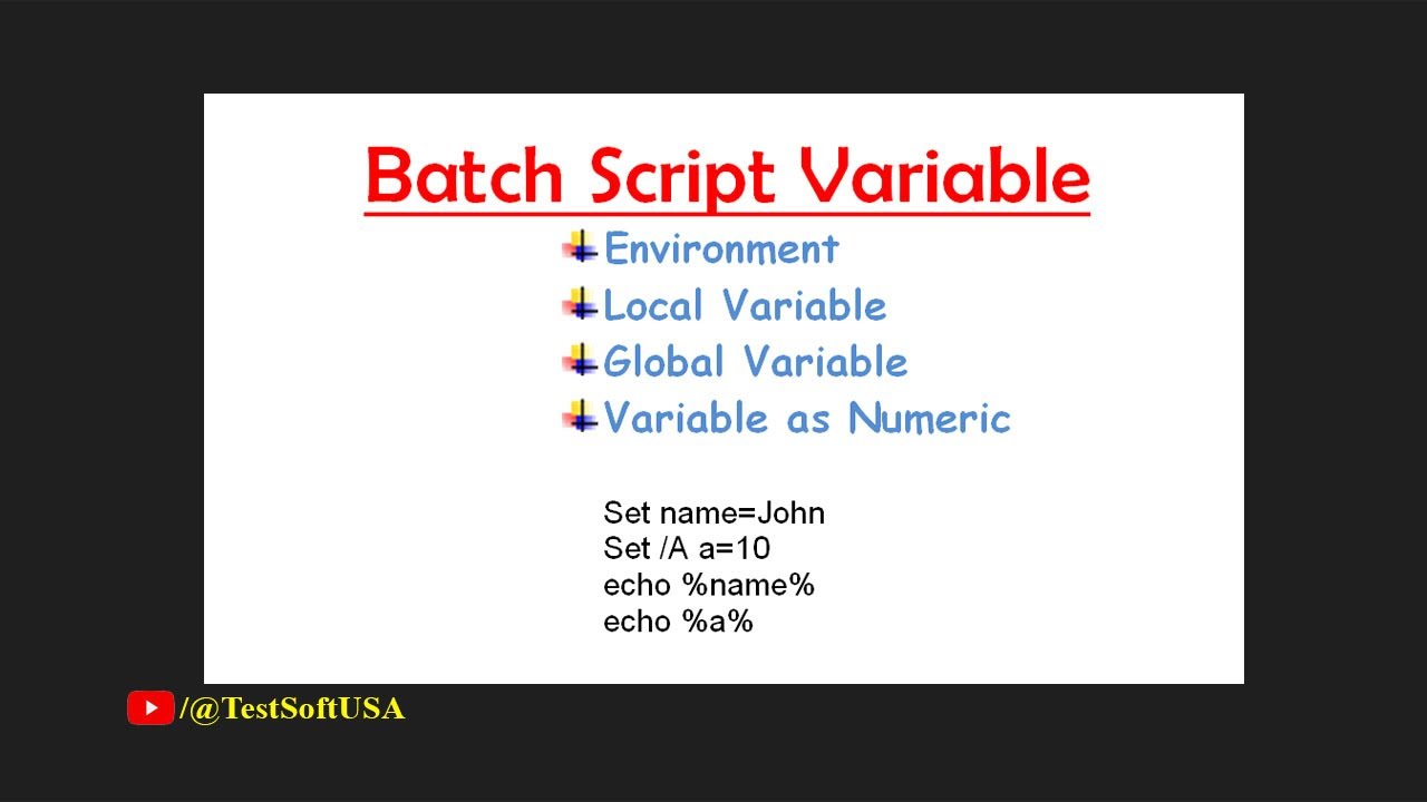 Windows Batch Script Variables explained | TestSoftUSA