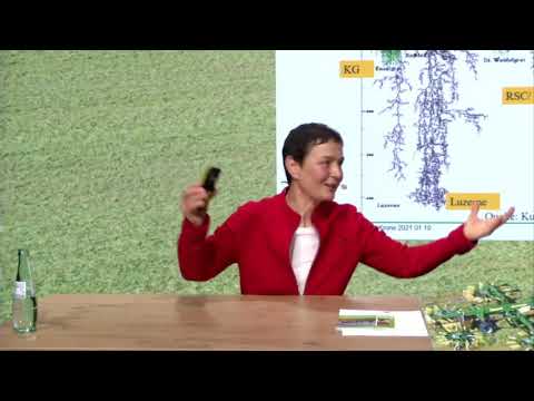 Trockenheit auf Grünland – Ist ein Umdenken erforderlich?